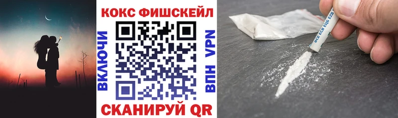 COCAIN Fish Scale  Купить закладки  Шарья 