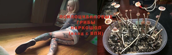 не бодяженный Гусев