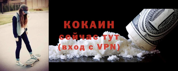 не бодяженный Гусев