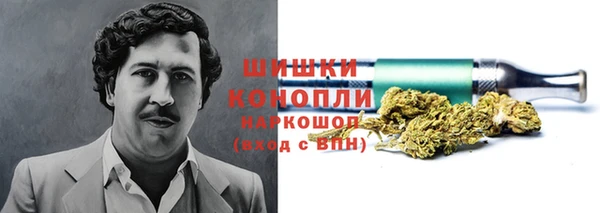 не бодяженный Гусев
