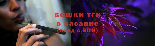 ГАЛЛЮЦИНОГЕННЫЕ ГРИБЫ Гусиноозёрск