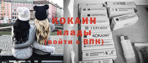СК Гусь-Хрустальный