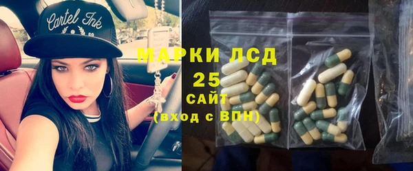 ГАЛЛЮЦИНОГЕННЫЕ ГРИБЫ Гусиноозёрск